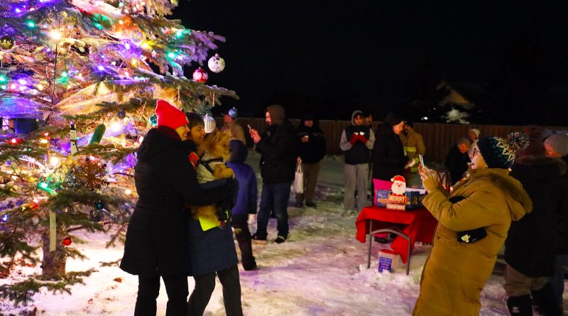 People take a photo in front of a tree.