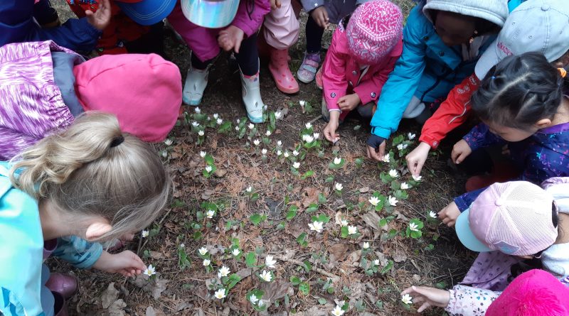 Kids look at flowers.