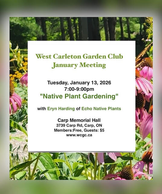 A poster for the event.