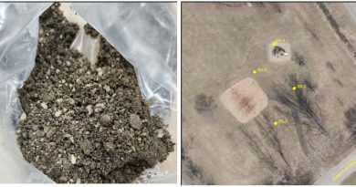 A photo of soil samples.