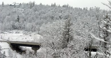 A photo of a bridge.