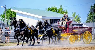 A pair drive a four-hitch wagon during a fair.