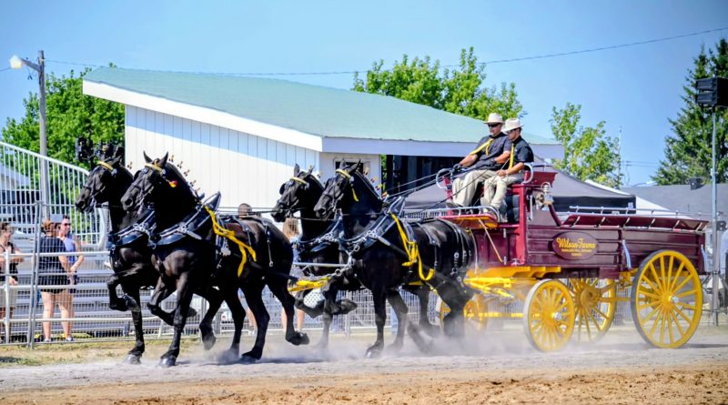A pair drive a four-hitch wagon during a fair.