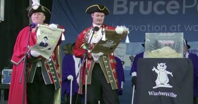 A groundhog looks for its shadow.