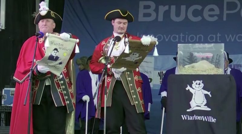 A groundhog looks for its shadow.