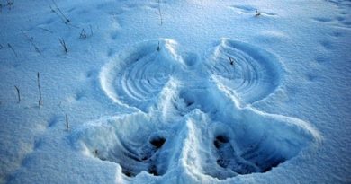 A photo of a snow angle.