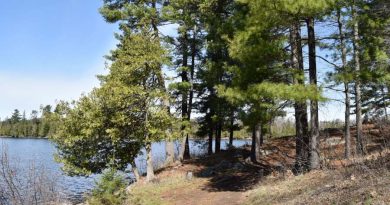 A view of lakefront property.