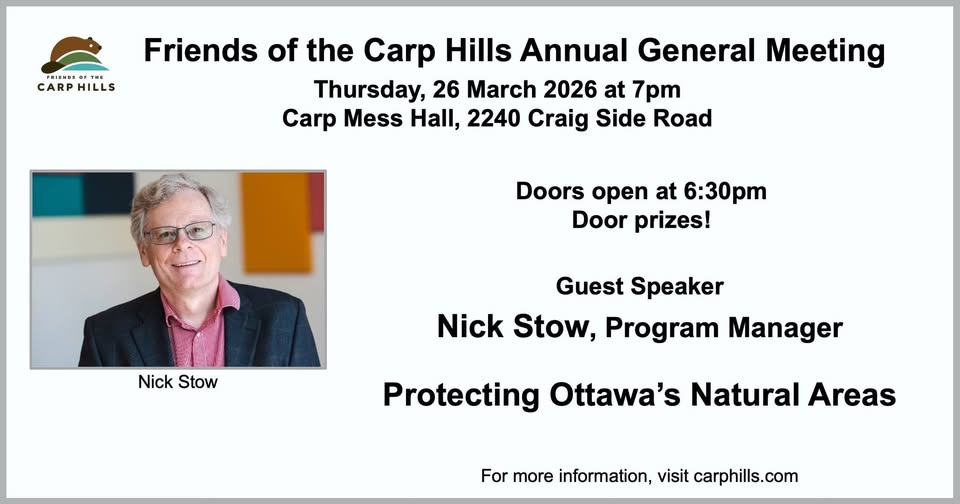 A poster for the event.