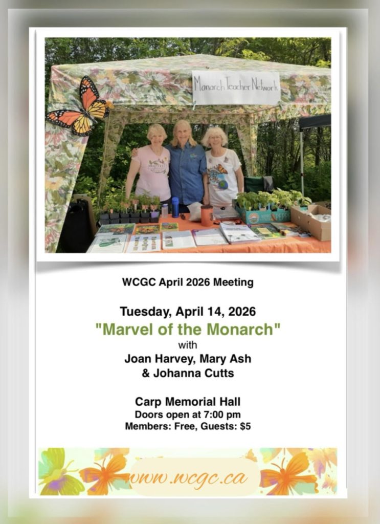 A poster for the event.