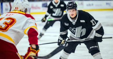A phot of a player playing hockey.