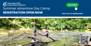 An ad for the Mississippi Valley Conservation Authority's youth camps. Click the ad to be taken to a screen readable website.