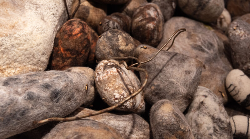 A photo of rocks.