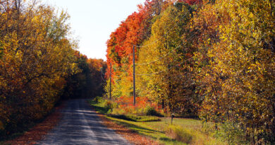 A photo of a road.