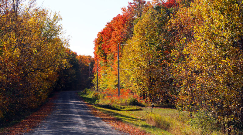 A photo of a road.