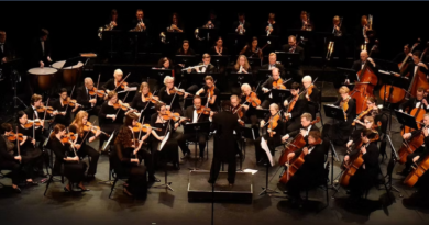 A photo of an orchestra.