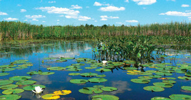 A photo of a watershed.