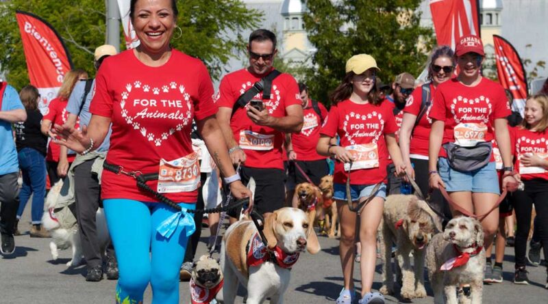 A group of people and pets go for a run.