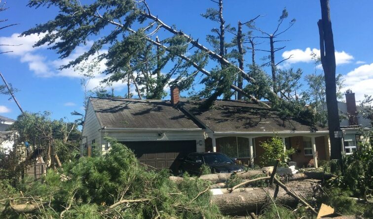 A photo of trees crashed on a house.