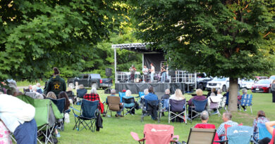 A crowd watches a concert.