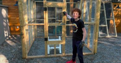 A boy poses with an enclosure.