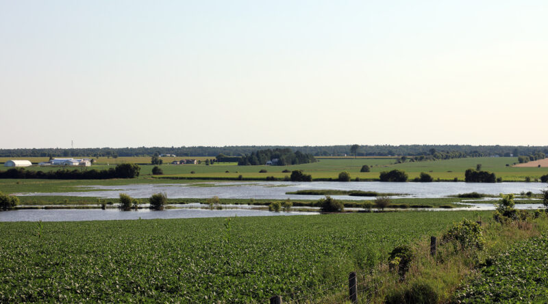 A photo of a swollen river.